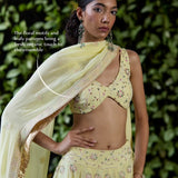 Narcissus lehenga