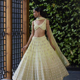 Narcissus lehenga